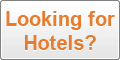 Vincent Hotel Search
